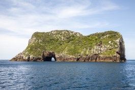 Poor Knights Islands