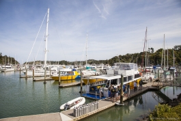 Le port de Tutukaka