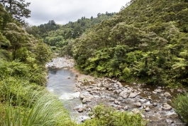 Karangahake Gorge