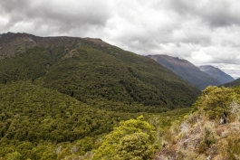 Panoramique de Haast Pass depuis le mont Haast