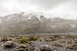 Franz Josef Glacier