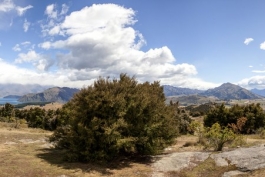 Panoramique de Wanaka depuis le mont Iron
