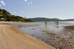 Cannonvale Beach