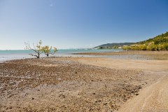 Cannonvale Beach