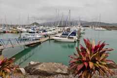 Retour au port d'Airlie Beach