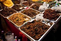 marche-bangkok1