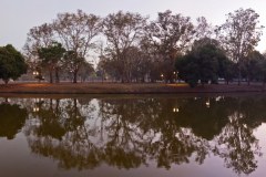panoramique-arbres sukhothai