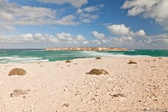 Vue sur Golden Island, Coffin Bay National Park