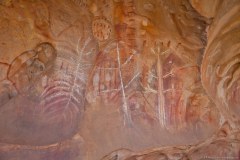 Peintures aborigènes, Arkaroo rock
