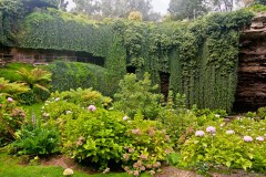 Le Umpherston sinkhole, Mount Gambier