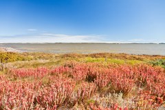 Sur la Princes Highway, isthme de Coorong