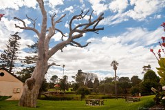 Centre-ville de Strathalbyn