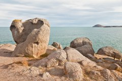 Granite Island, Victor Harbor