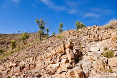 Trephina Gorge