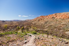 Les Mac Donnell Ranges depuis le Trephina Lookout