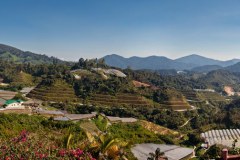 Pano-Cameron-Highlands