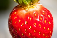 Fraise