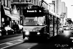 Le tram, élément central de la ville de Melbourne