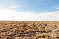 Nullarbor Plain, le néant sur des centaines de kilomètres