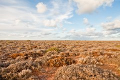 Nullarbor Plain,