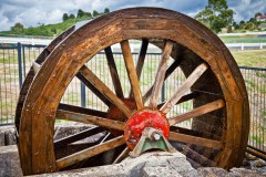 Roue et engrenages, Waratah