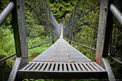 Pont suspendu, Montezuma waterfalls