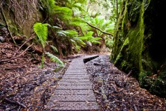 Chemin de randonnée, Montezuma Waterfalls