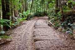 Ancien chemin de fer, Montezuma Waterfalls