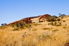Mont Bruce, Parc National de Karijini