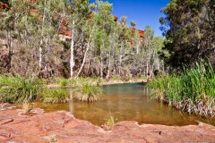 The Fortescue Falls