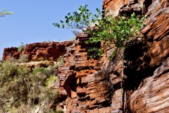 Au coeur de Dales Gorge