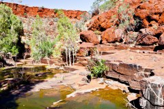 En route vers Circular Pool, Dales Gorge
