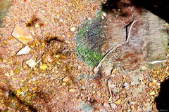Cailloux dans la rivière, Dales Gorge