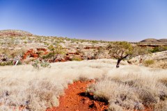 Balade dans le parc de Karijini