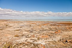 Hamelin Pool
