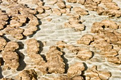 Stromatolites, Hamelin Pool