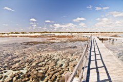 Hamelin Pool et sa passerelle au milieu des stromatolites