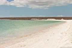 Shell Beach