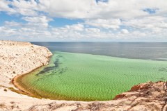 Eagle Bluff, paradis de la faune marine