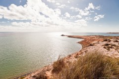 Eagle Bluff