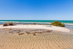 Shark Bay, Monkey Mia