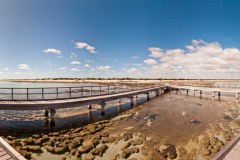 Panoramique d'Hamelin Pool