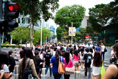 Orchard Road