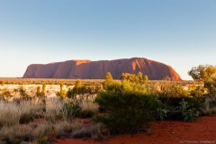 Uluru au petit matin