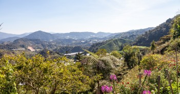 Cameron Highlands Malaisie