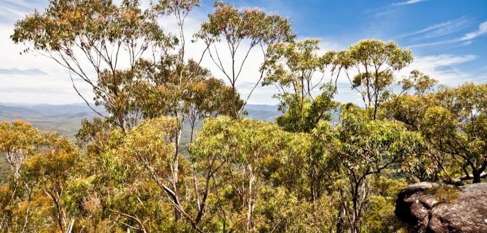 Pigeon House Mountain