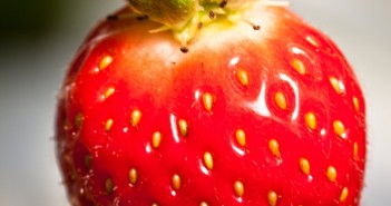 Fraise