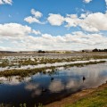 Lac Dulverton, Oatlands