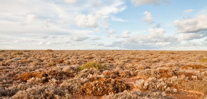 Nullarbor Plain