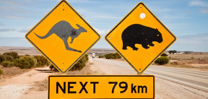 Nullarbor Plain
